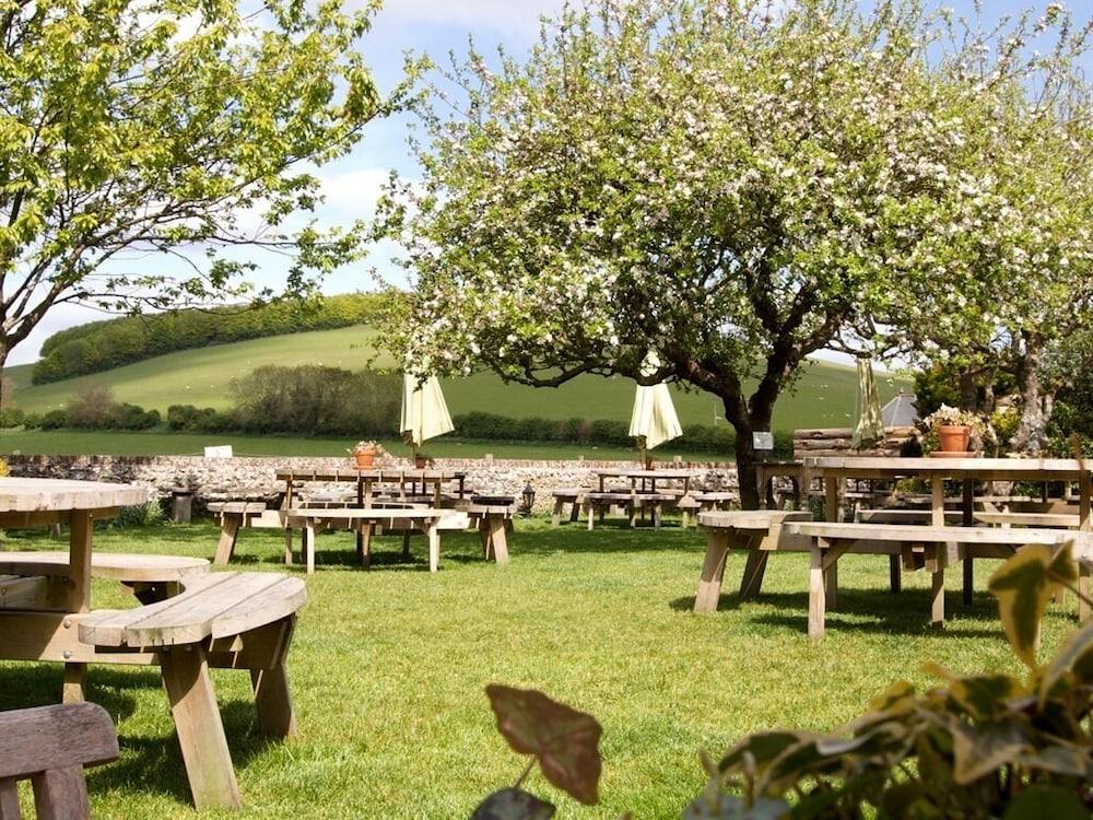 The Fox Goes Free Hotell Chichester Eksteriør bilde